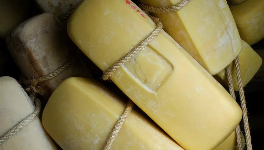 Formaggi siciliani stagionati, legati con corda, pronti per essere gustati.