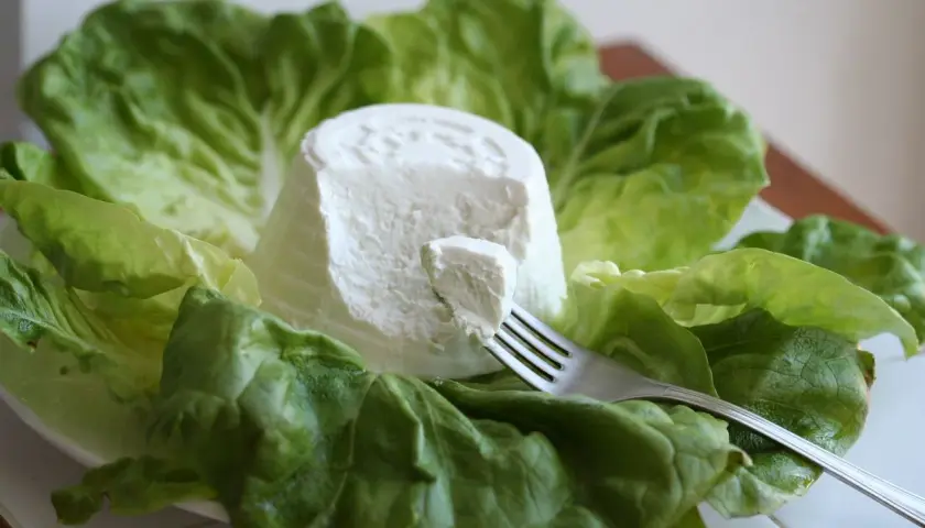 Ricotta fresca su foglie di lattuga, un'opzione leggera per chi cerca poche calorie.