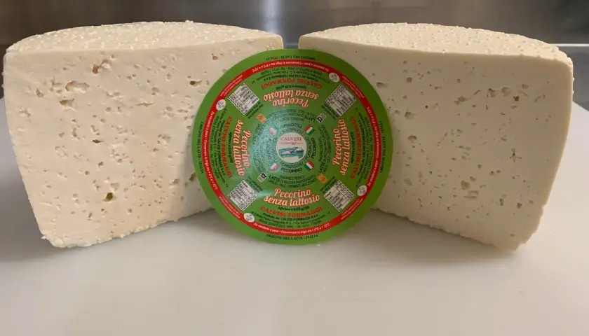 Due forme di pecorino senza lattosio, una con etichetta circolare verde al centro.