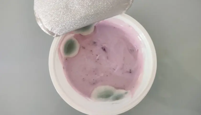 Yogurt viola con muffa verde visibile. La muffa nello yogurt indica che non è più commestibile.