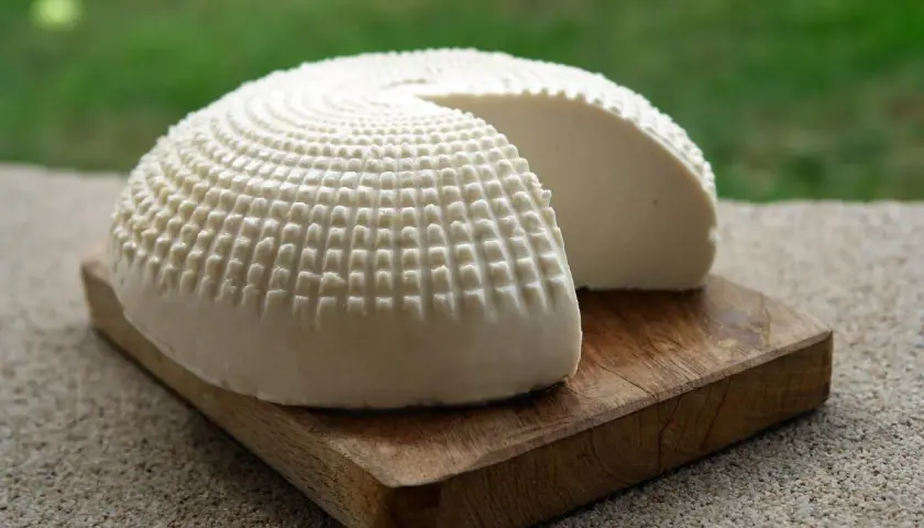Formaggio fresco a forma di cupola, con una texture a griglia, su un tagliere di legno. Una fetta è stata rimossa, rivelando la morbida ricotta vaccina.