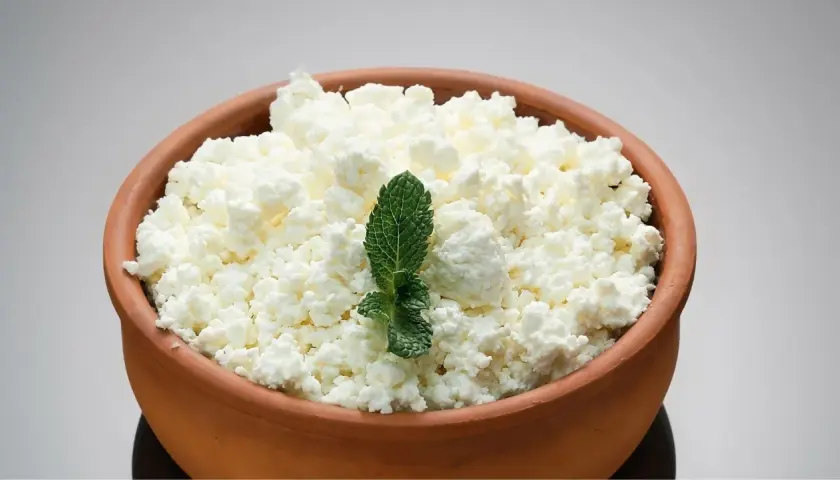 Ricotta fresca in ciotola di terracotta, guarnita con menta. Ideale per la ricotta in gravidanza, un alimento nutriente e leggero.