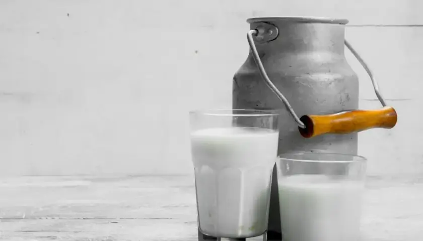 Due bicchieri di latte di pecora, con un vecchio bidone di metallo sullo sfondo. Ideale per chi cerca un'alternativa al latte vaccino, con meno lattosio.