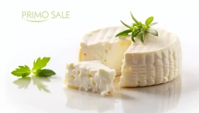 Formaggio pecorino primo sale fresco e delicato, con una fetta tagliata e guarnito con erbe aromatiche.