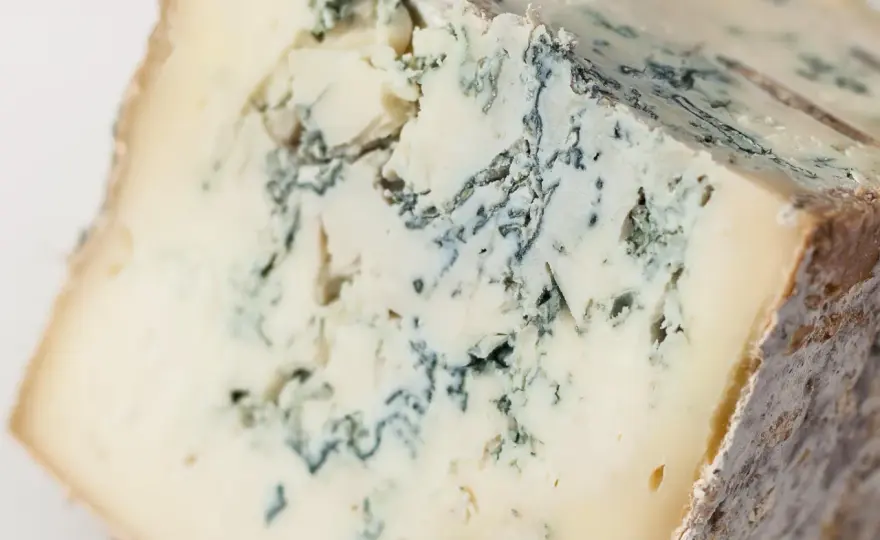 Taleggio, come conservarlo e capire se la muffa è normale