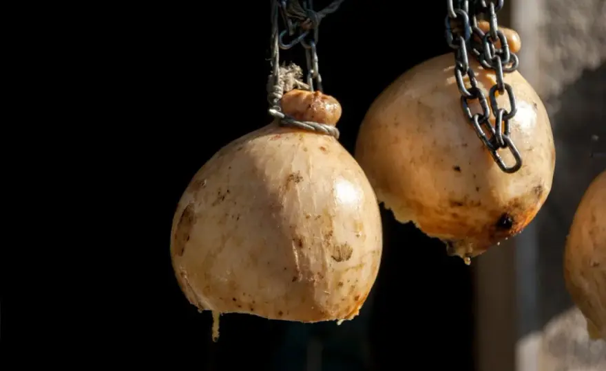 Caciocavallo - Perché si chiama così? Scopri la vera storia!