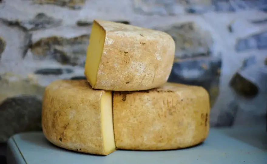 Formaggio di fossa, come riconoscerlo e servirlo