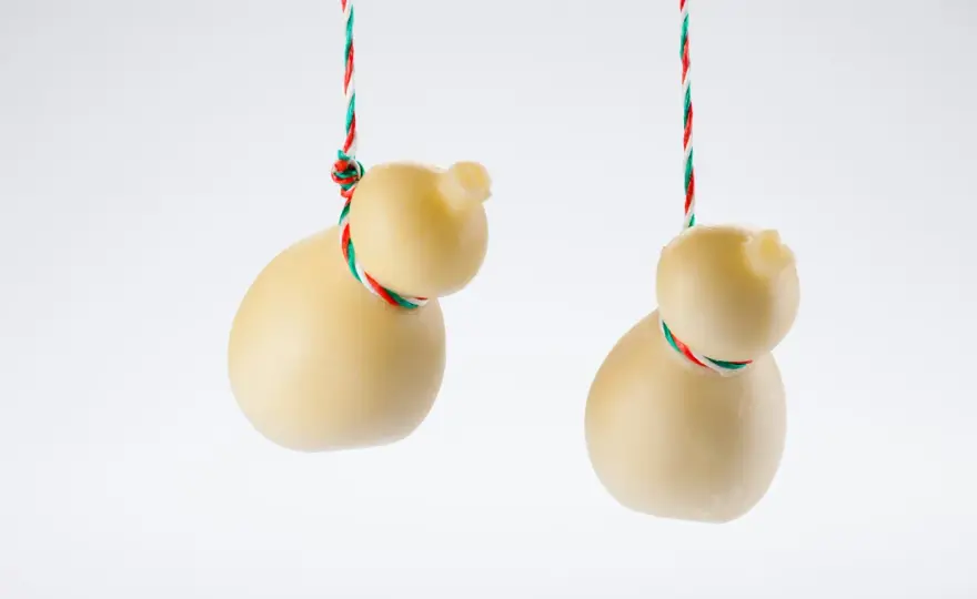 La scamorza contiene lattosio? Cosa sapere prima di sceglierla