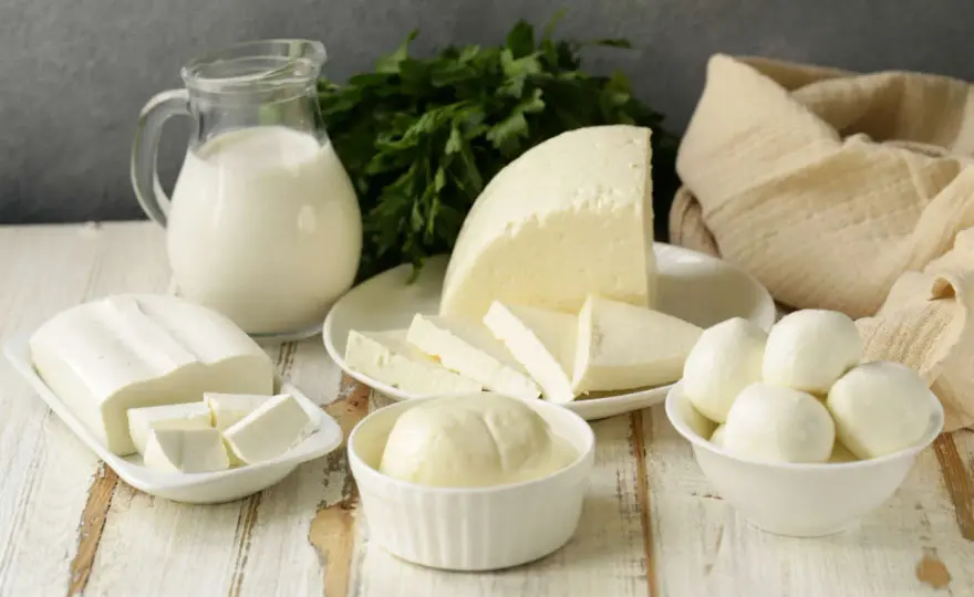 Ricotta e giuncata, quali sono le differenze?