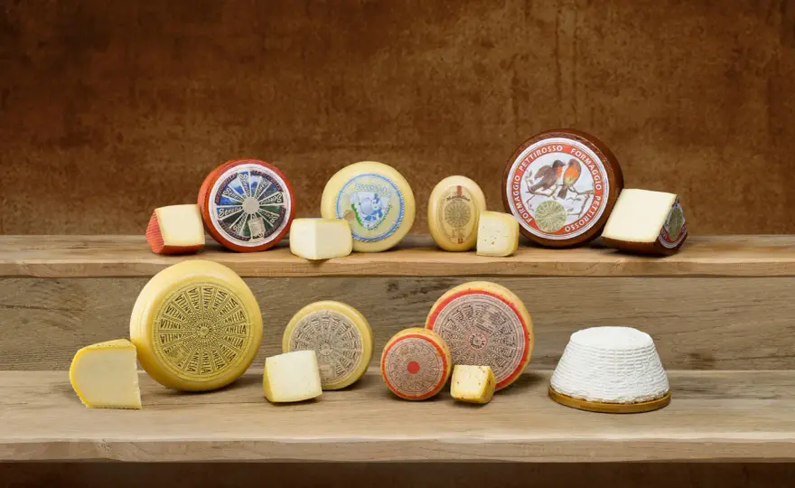 Che cos'è il formaggio e come sceglierlo, conservarlo e gustarlo