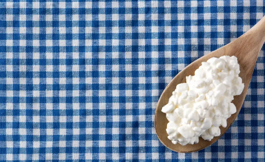 Jocca in gravidanza? Quando si può mangiare davvero