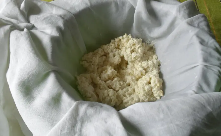 Fiocchi di latte o ricotta? Come scegliere il latticino giusto