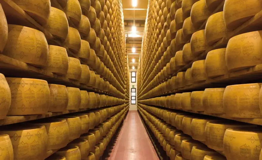 Stagionatura del formaggio - Segreti per un gusto perfetto