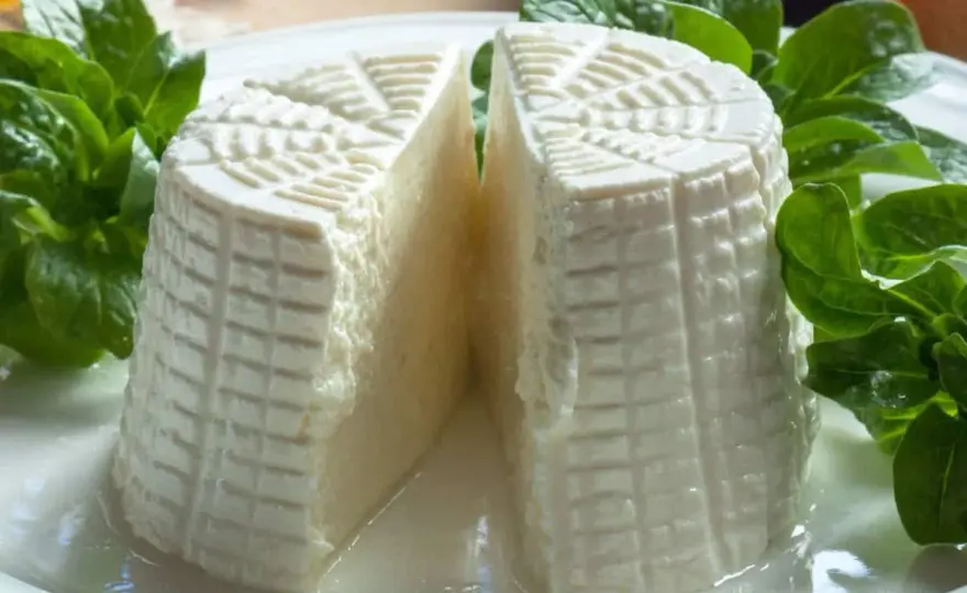 Sostituti della tuma - Guida ai formaggi perfetti in ogni ricetta