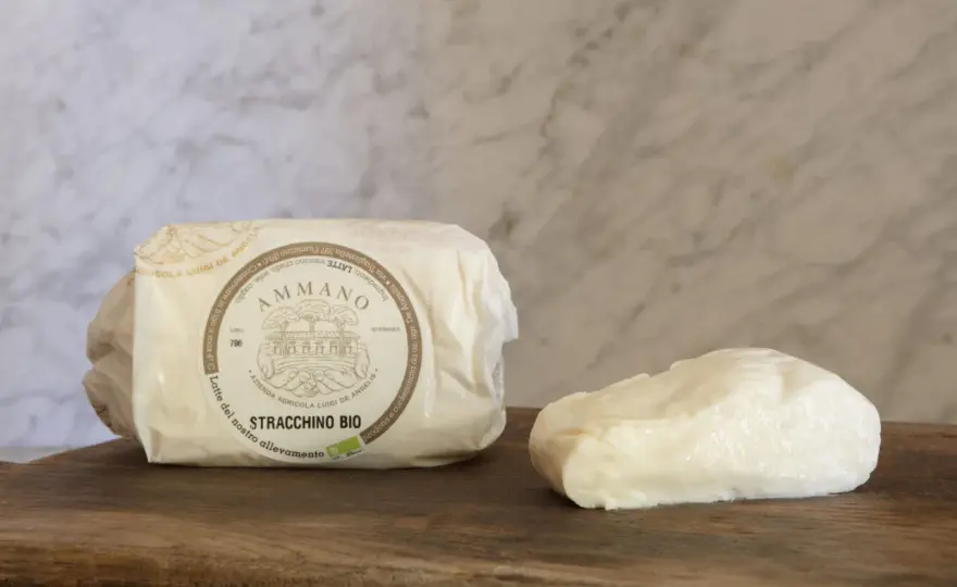 Stracchino: la guida completa al formaggio che ami