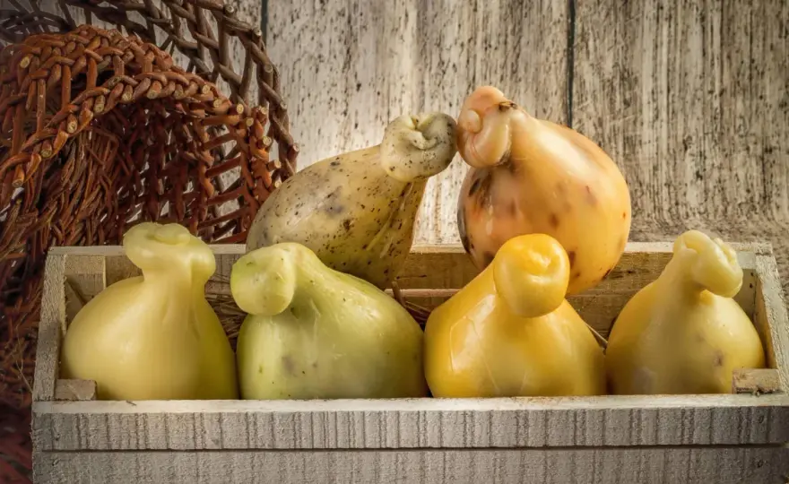 Caciotta affumicata - Guida completa per sceglierla e gustarla