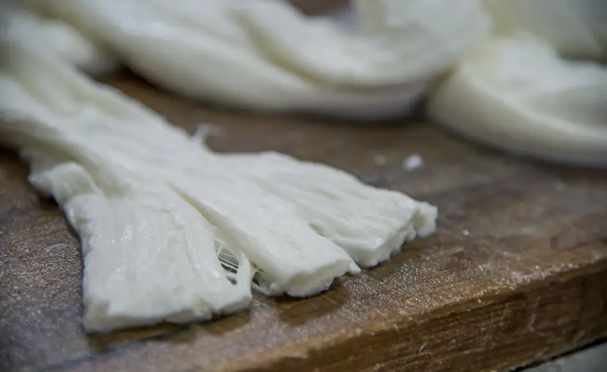 Formaggi a Pasta Filata - Guida Completa per Sceglierli e Usarli