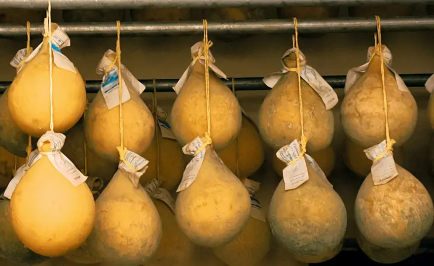 Caciocavallo e lattosio - come scegliere quello giusto