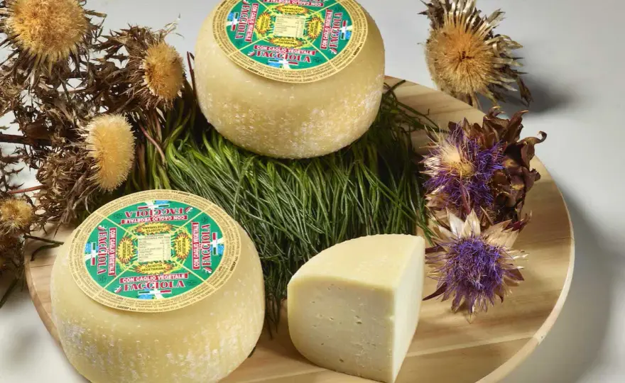 Caglio vegetale - Guida completa per casari e amanti del formaggio
