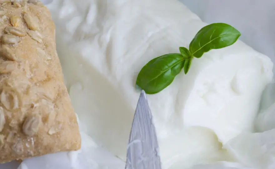 Stracchino è magro? La verità su calorie e grassi che non ti aspetti