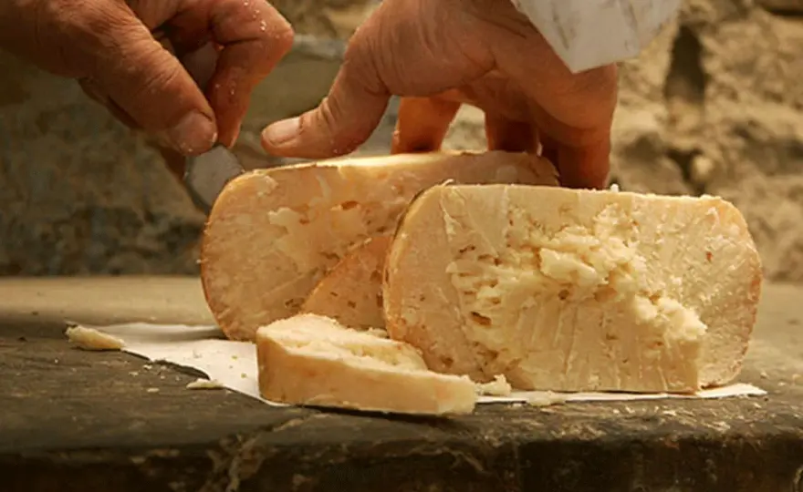 Formaggio di fossa di Talamello, guida all’Ambra e agli abbinamenti
