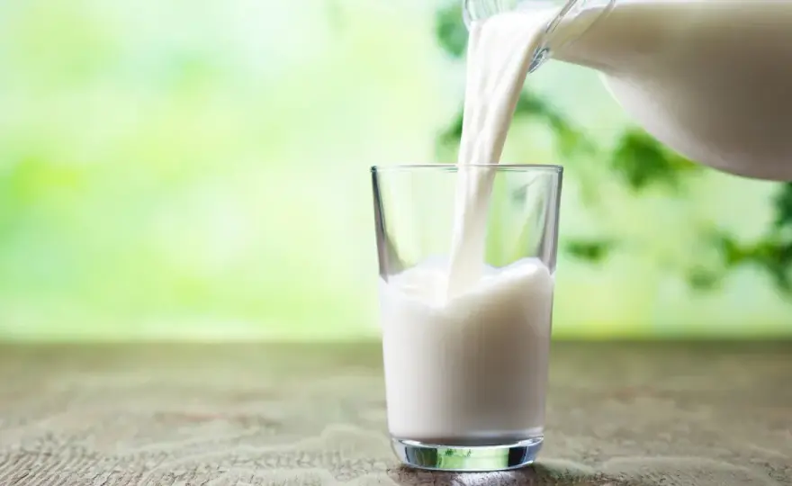 Quale latte fa ingrassare meno? Guida a calorie e porzioni