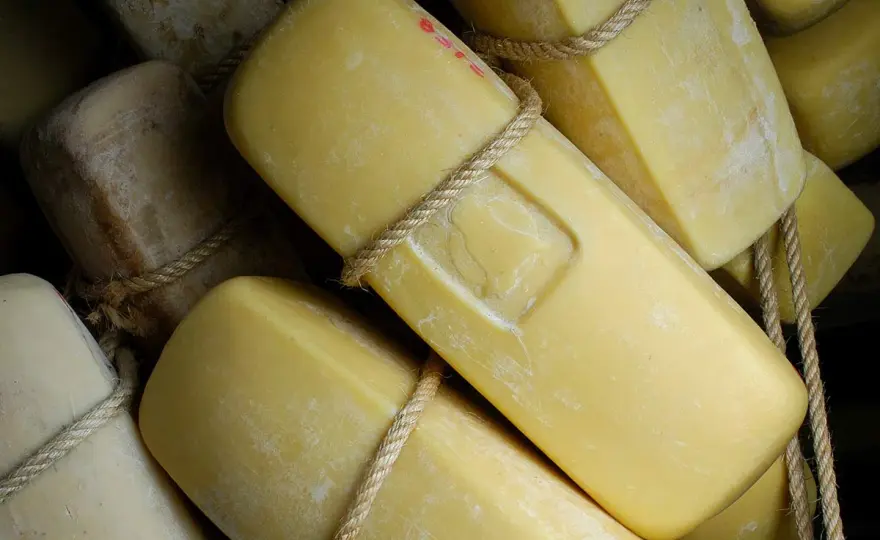 Formaggi siciliani - Guida completa per sceglierli e gustarli