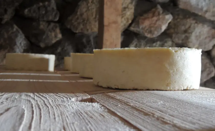 Caseificazione - Come nasce il formaggio perfetto?