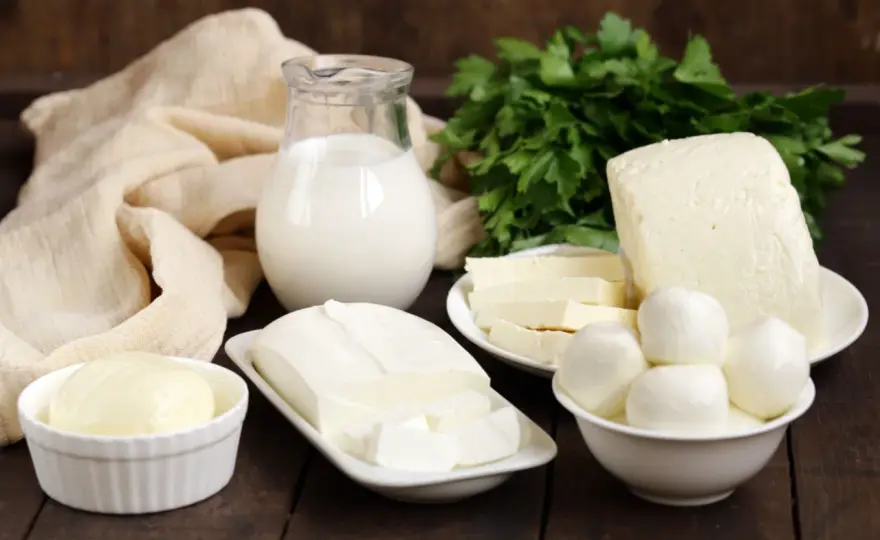 Formaggi con poco sale - La guida per scegliere bene