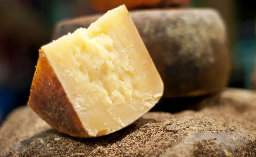 Formaggi Sardi - Guida Definitiva per Scegliere e Abbinare
