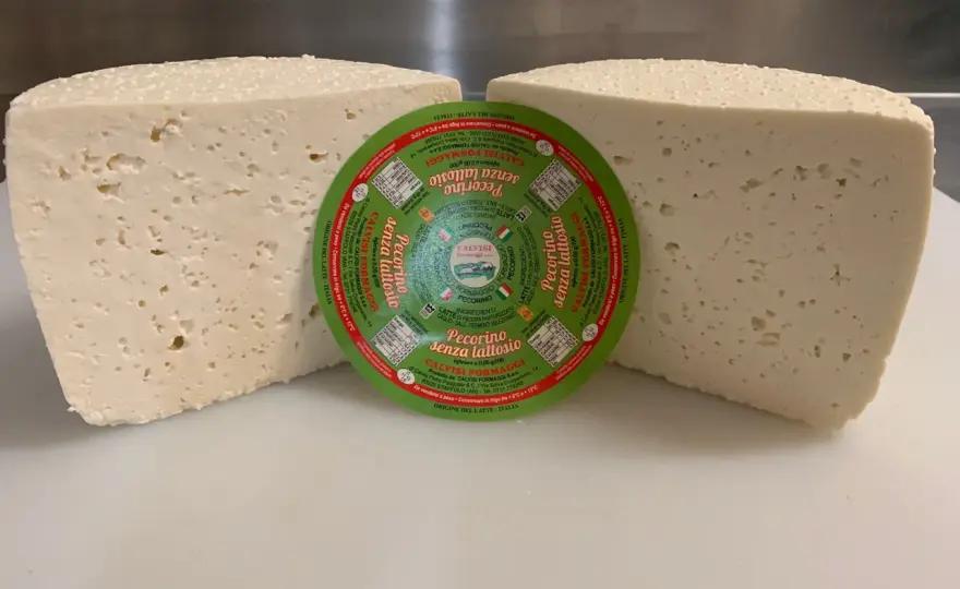 Pecorino senza lattosio - come scegliere quello giusto