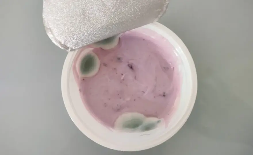 Muffa nello yogurt? Quando buttare tutto e cosa fare