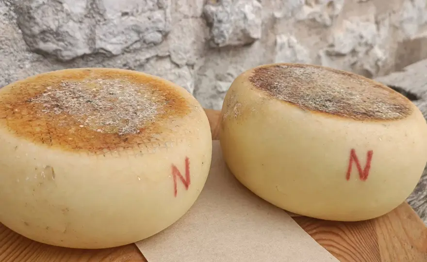 Pecorino semistagionato - La scelta giusta tra gusto e cucina