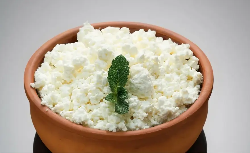Ricotta in gravidanza - quando è sicura e come sceglierla