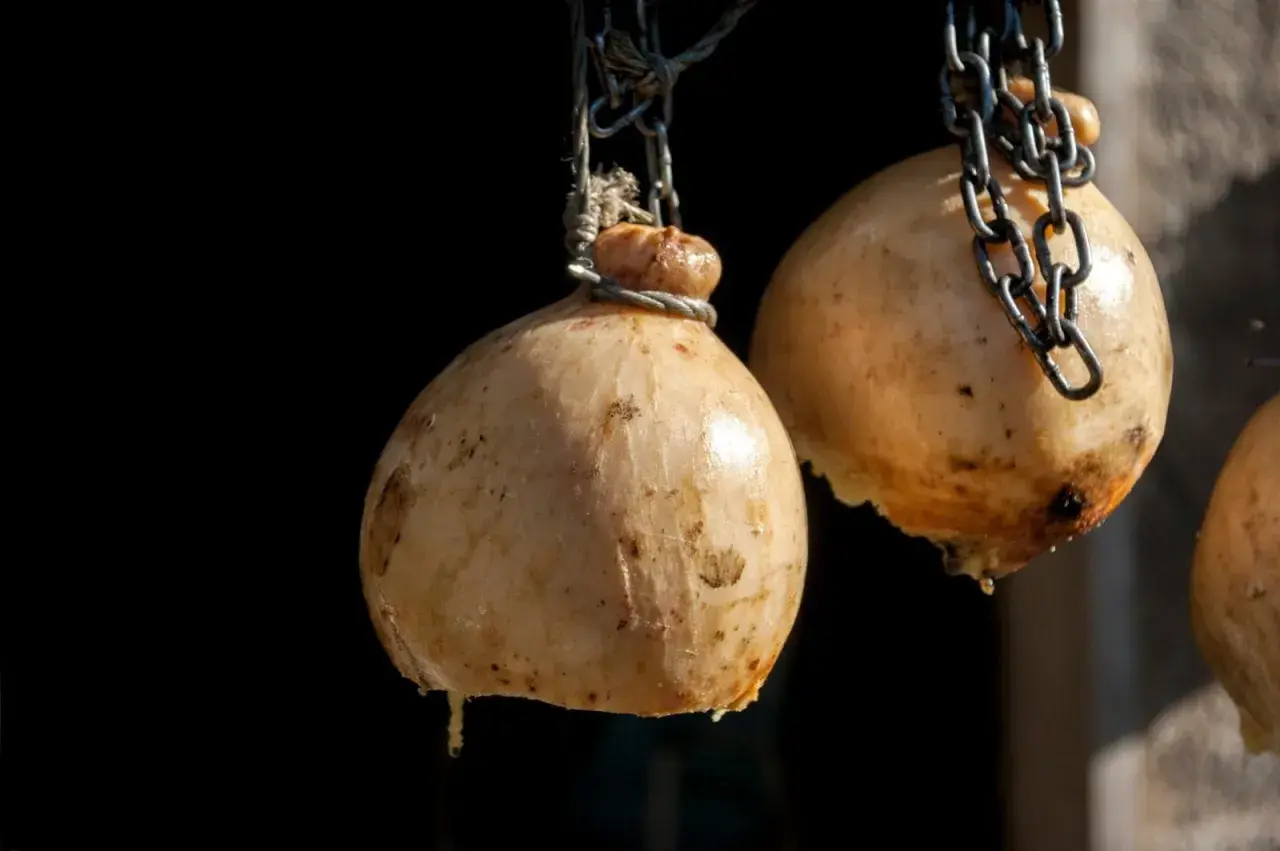 Forme di caciocavallo appese a catene. La forma a pera e il modo di legatura spiegano perchè si chiama caciocavallo.