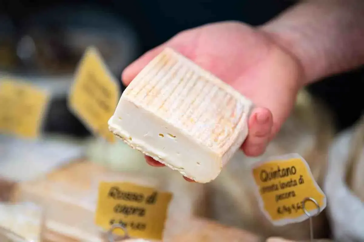 Un pezzo di formaggio morbido, forse perché si chiama stracchino, tenuto in mano. Sullo sfondo, altre forme di formaggio e cartellini gialli.