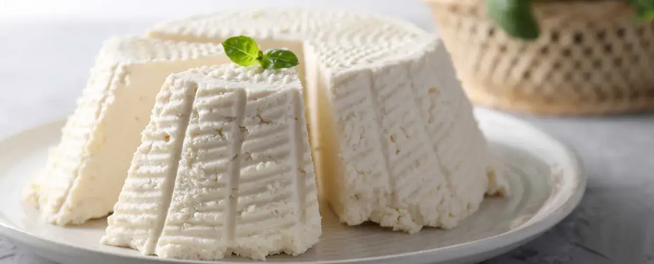 Formaggi freschi, uno a spicchi, con decorazioni a righe e un rametto di basilico. Perfetti per una deliziosa fonduta di Asiago.