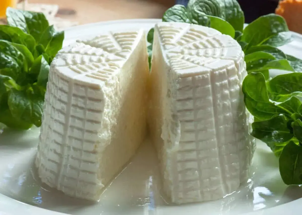 Formaggio fresco a forma cilindrica, tagliato a metà, con decorazioni a griglia. Se cerchi come sostituire la tuma, questo fresco latticino è un'ottima alternativa.