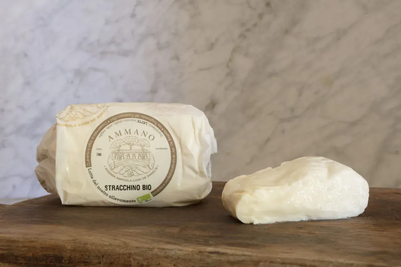 Stracchino bio Ammano, un formaggio fresco e cremoso, pronto per essere gustato.