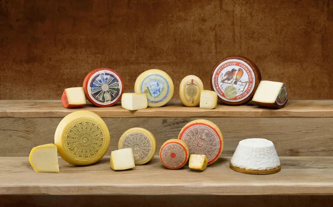 Varietà di formaggi freschi disposti su assi di legno. Alcuni interi, altri a spicchi, con etichette colorate e disegni.
