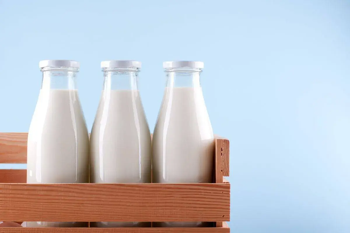 Tre bottiglie di latte fresco in una cassa di legno, pronte per essere pastorizzate.