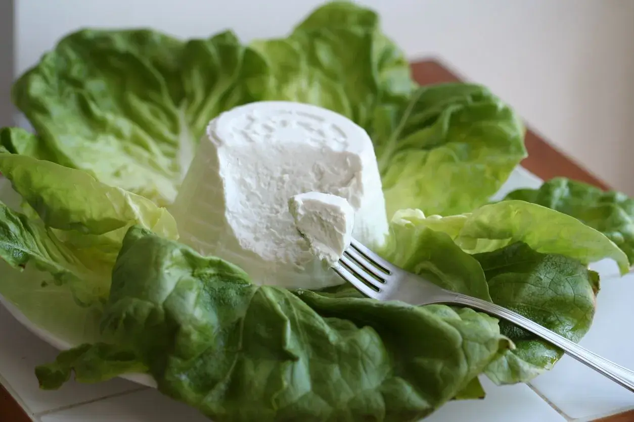 Ricotta fresca su foglie di lattuga, un'opzione leggera per chi cerca poche calorie.