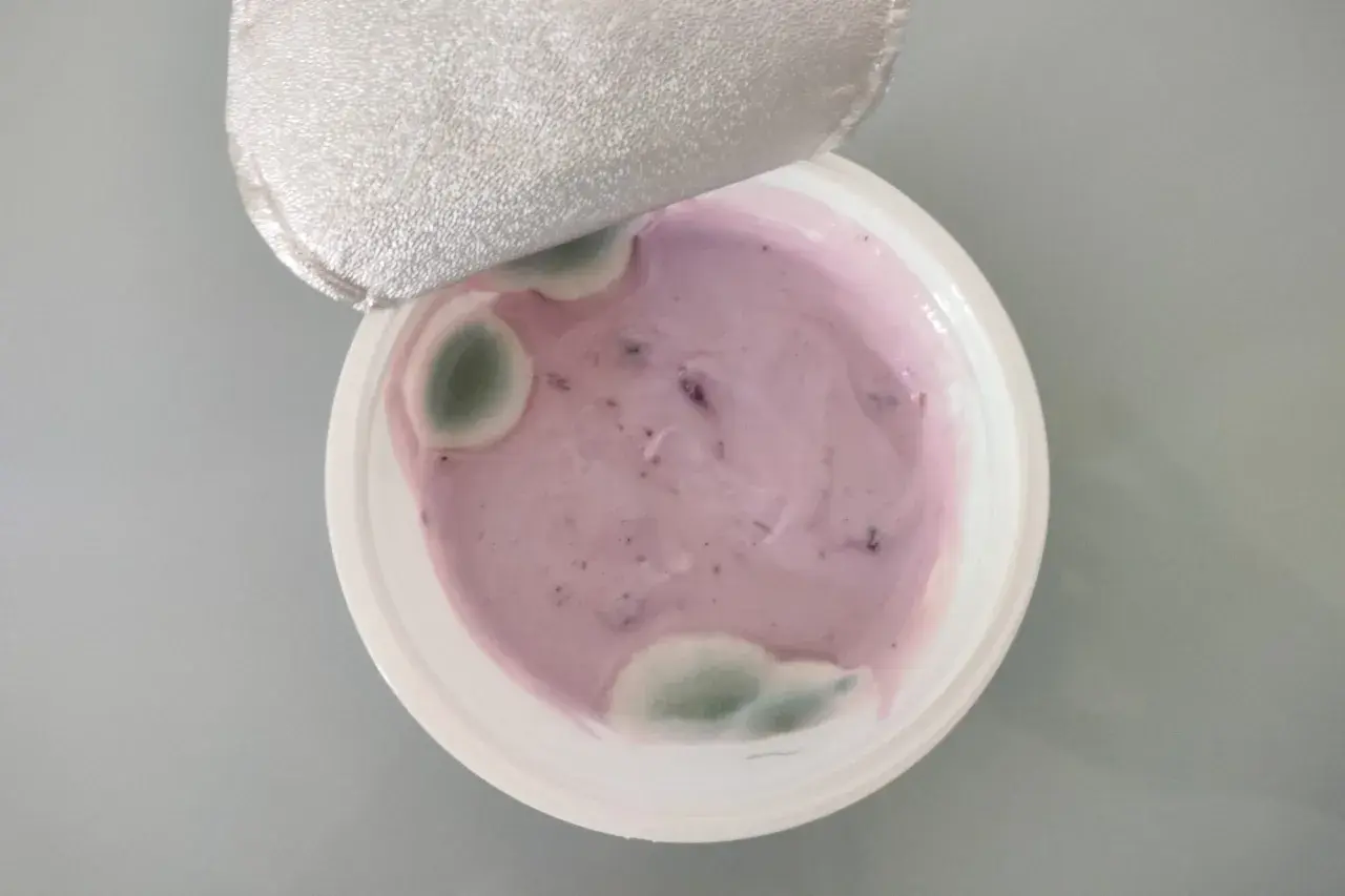 Yogurt viola con muffa verde visibile. La muffa nello yogurt indica che non è più commestibile.