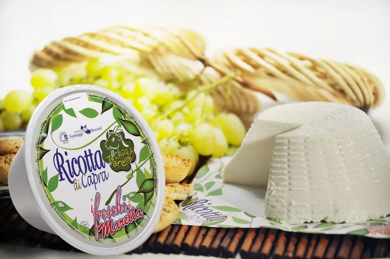 Formaggi di capra: ricotta fresca e un formaggio a forma di cono, accompagnati da uva e crostini.
