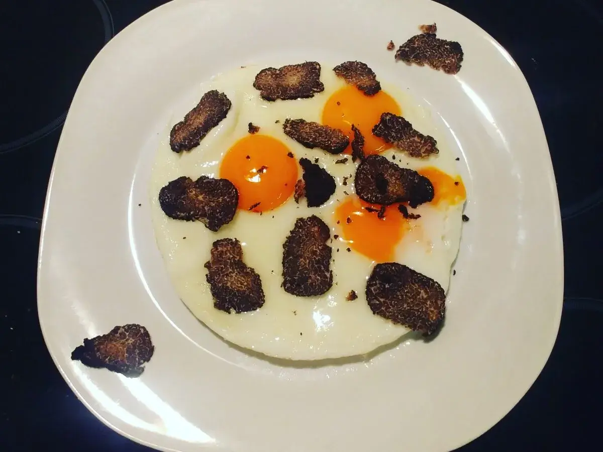 Uova al tartufo e formaggio, un piatto semplice ma raffinato. Le uova sono cotte alla perfezione, con tuorli morbidi e albumi bianchi e sodi. Il tartufo nero, tagliato a lamelle sottili, aggiunge un aroma intenso e un sapore inconfondibile. Il formaggi...