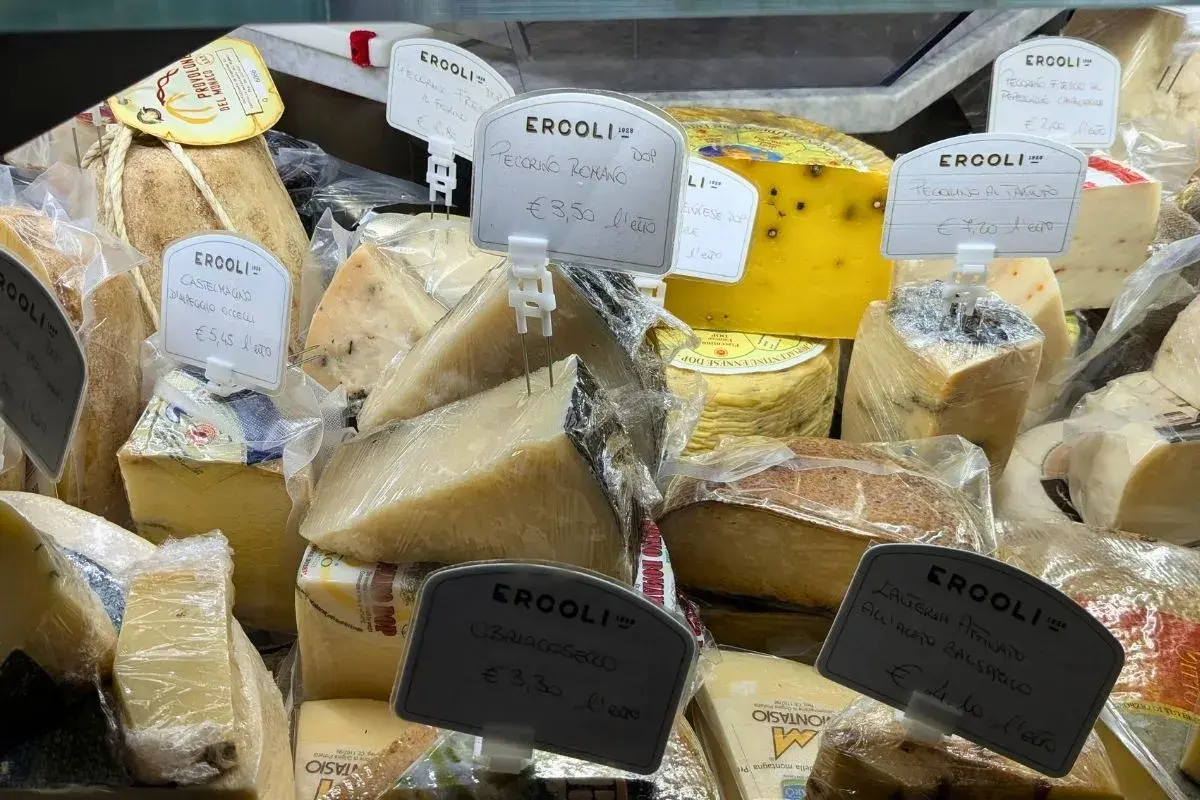 Vari tipi di formaggi in esposizione, tra cui il Pecorino Romano, per scoprire come si fa il pecorino.