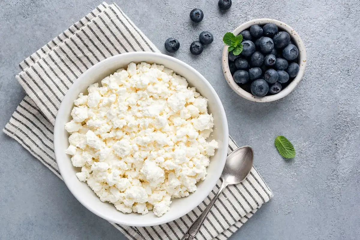 Ricotta fresca in una ciotola, con mirtilli e menta. Un pasto leggero e salutare, scopri i ricotta benefici per il tuo benessere.