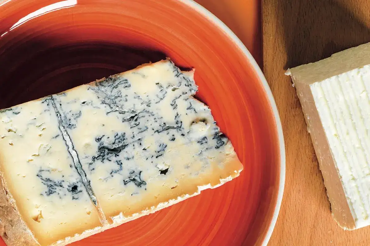 Fetta di gorgonzola su piatto arancione e un altro formaggio. Ideale per scoprire come mangiarlo.