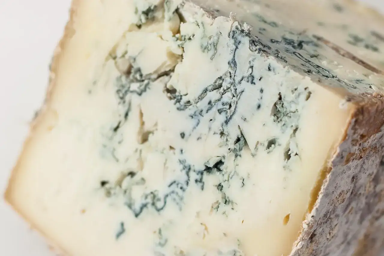 Un pezzo di formaggio erborinato, con venature bluastre e verdi che indicano la muffa sul formaggio. La crosta è ruvida e di colore marrone chiaro.