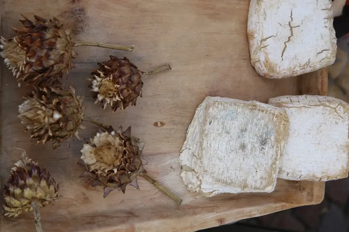 Carciofi secchi e formaggi artigianali, un connubio di sapori naturali. Il caglio vegetale esalta la genuinit&agrave;.